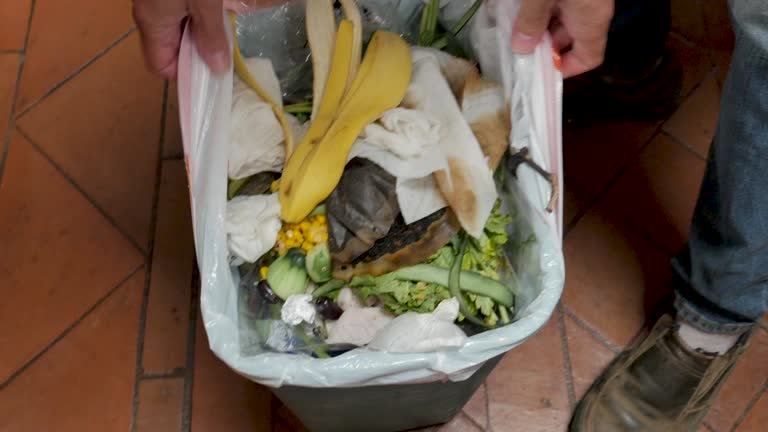 Best Garage Cleanout  in Waverly, NY